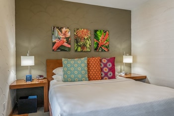 kasa el paseo miami beach