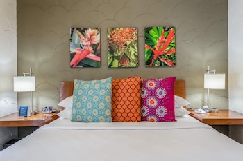 kasa el paseo miami beach