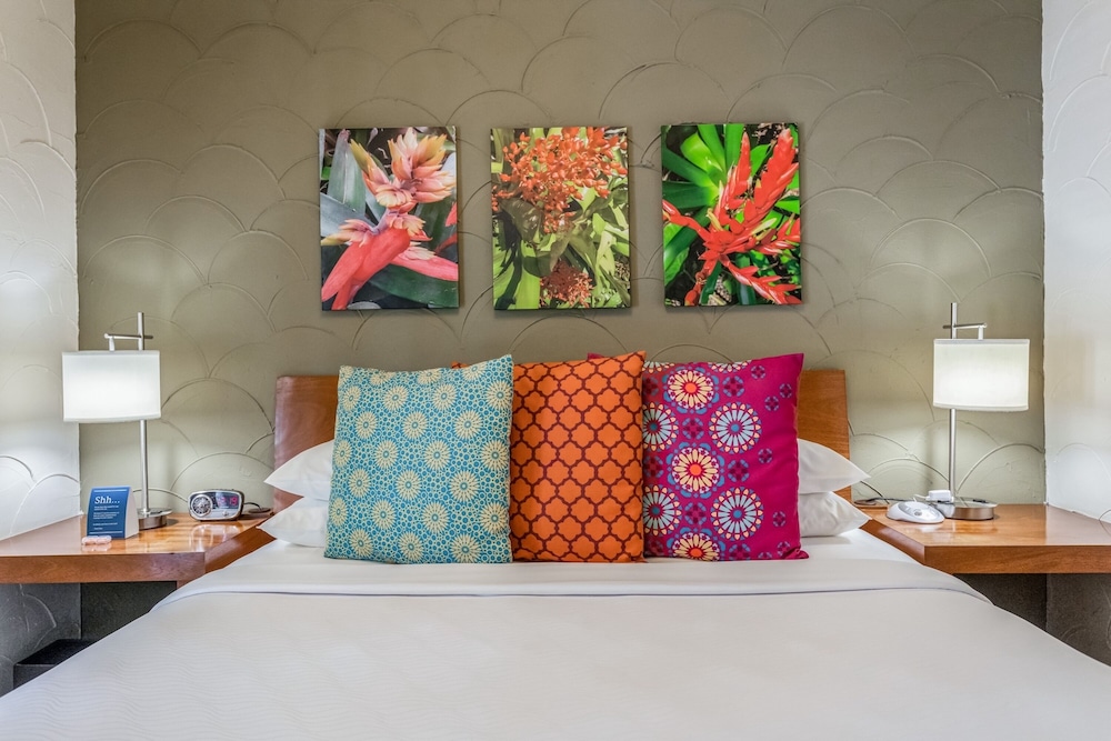 kasa el paseo miami beach