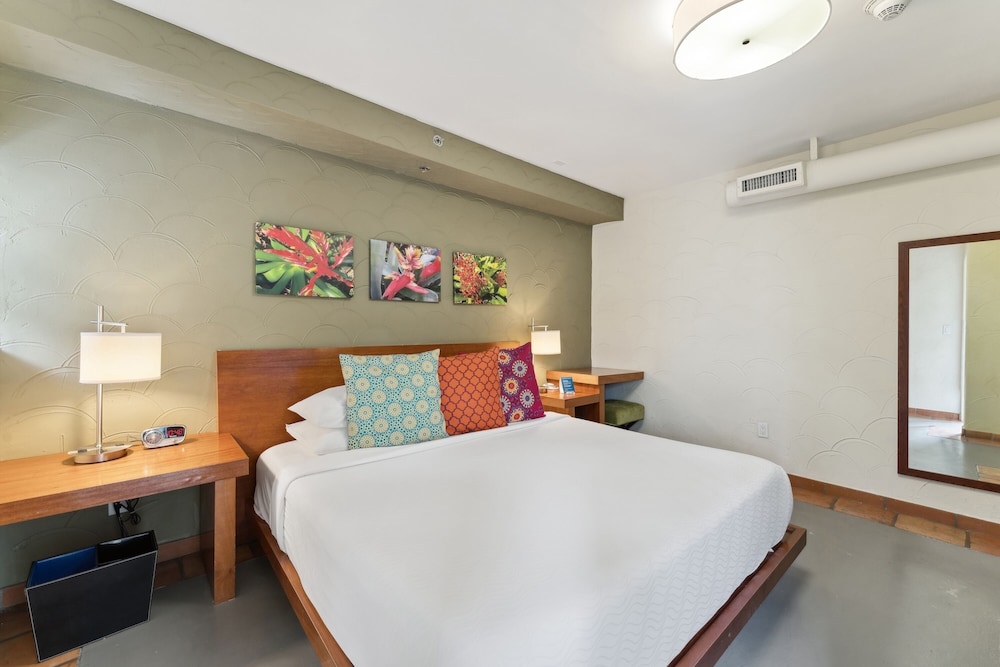 kasa el paseo miami beach