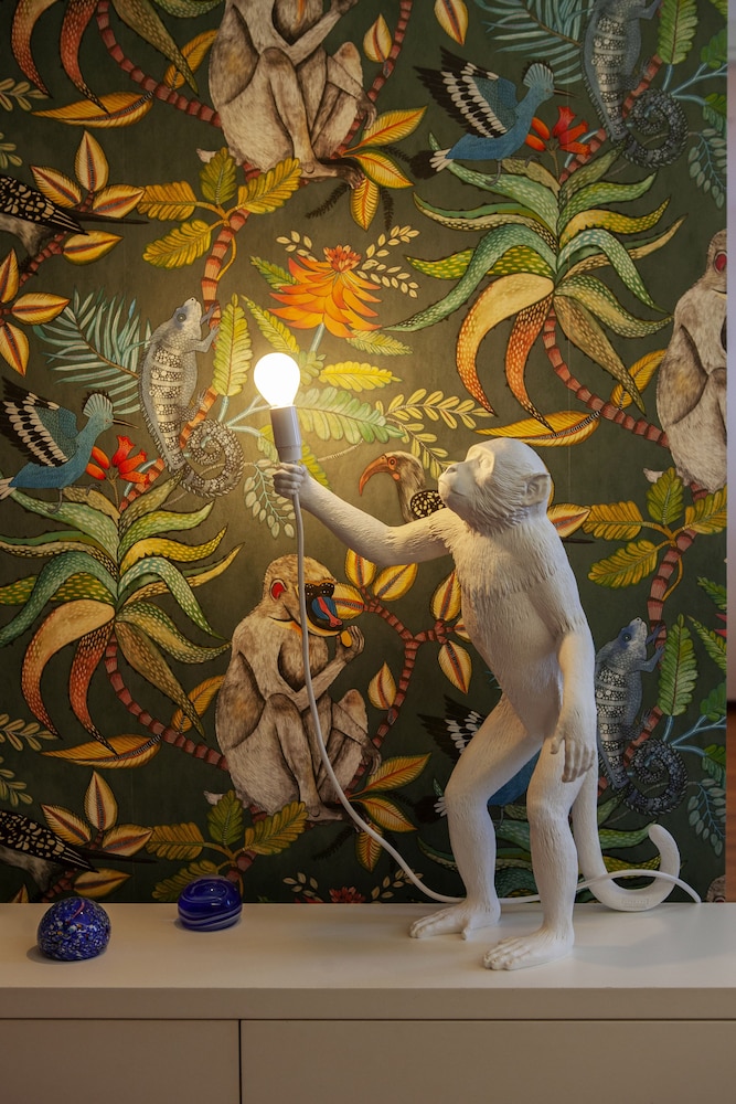 ca della scimmia