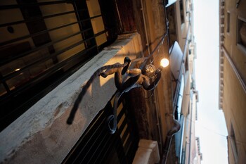 ca della scimmia