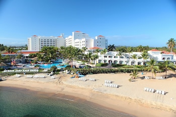 dorado