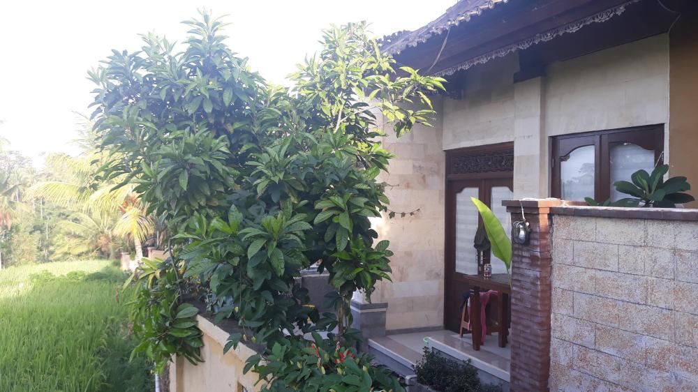 dukuh village villas