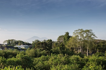 pande homestay