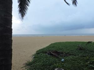 oasis beach resort
