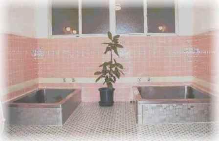 resort inn fujihashi