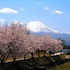 guesthouse sakuya