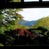 guesthouse sakuya