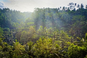 jannata resort and spa