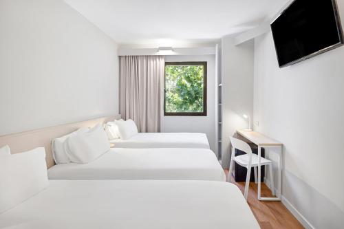 bandb hotel zaragoza centro