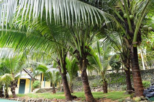 island lodge