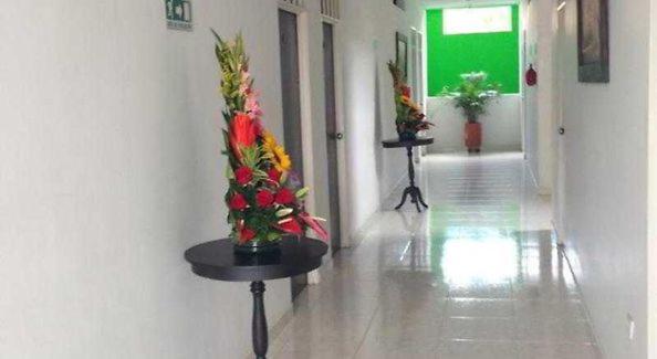 neiva