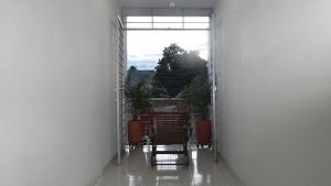 neiva