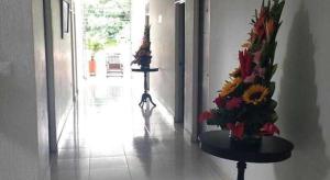neiva