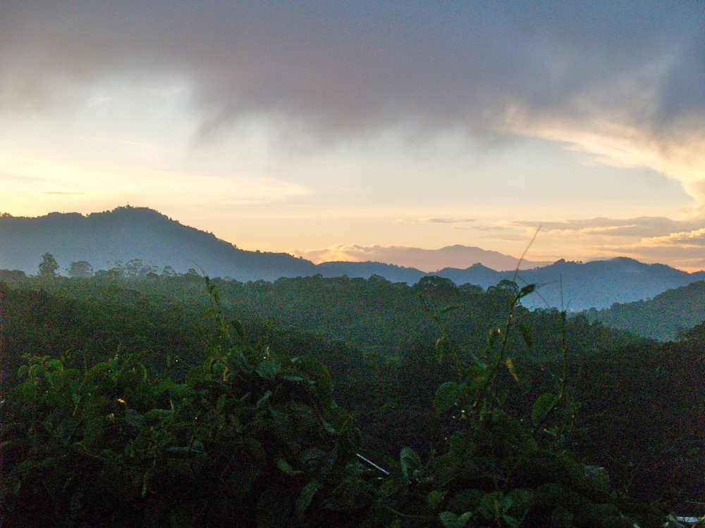 casa amanecer bed and breakfast