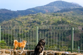 Casa Amanecer Bed & Breakfast,Alajuela Province>>Alajuela,3 star
