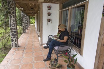 bosque de paz