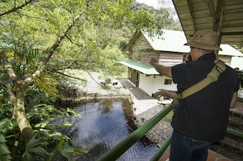 bosque de paz