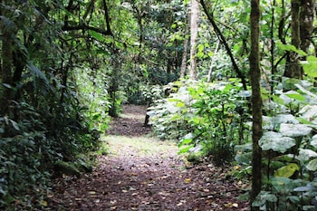 bosque de paz