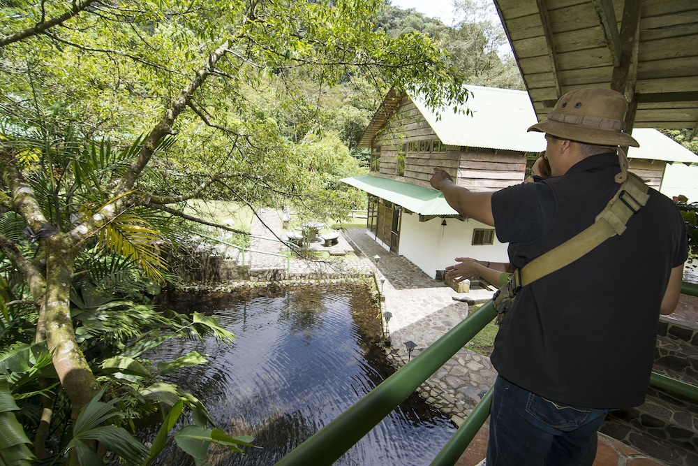 bosque de paz