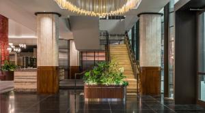 kimpton margot sydney by ihg