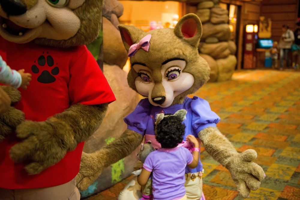 great wolf lodge anaheim ca