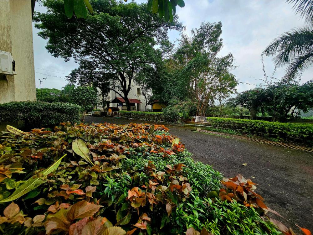 dewdrops boutique retreat igatpuri