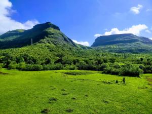 dewdrops boutique retreat igatpuri