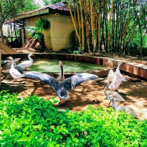 dewdrops boutique retreat igatpuri