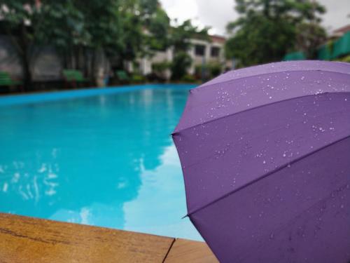 dewdrops boutique retreat igatpuri