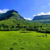 dewdrops boutique retreat igatpuri