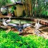dewdrops boutique retreat igatpuri