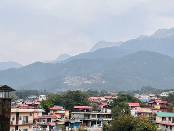 palampur