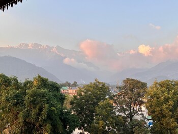 palampur