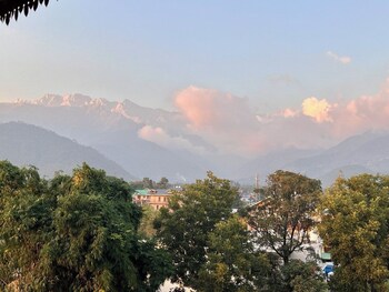 palampur