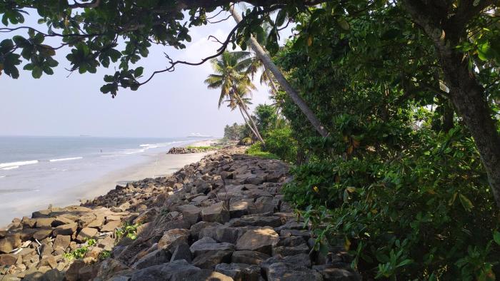kochi