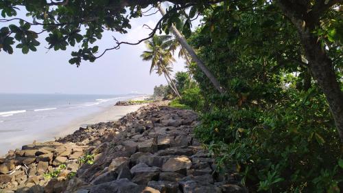 kochi