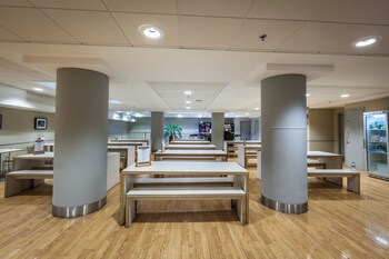 lse high holborn campus accommodation