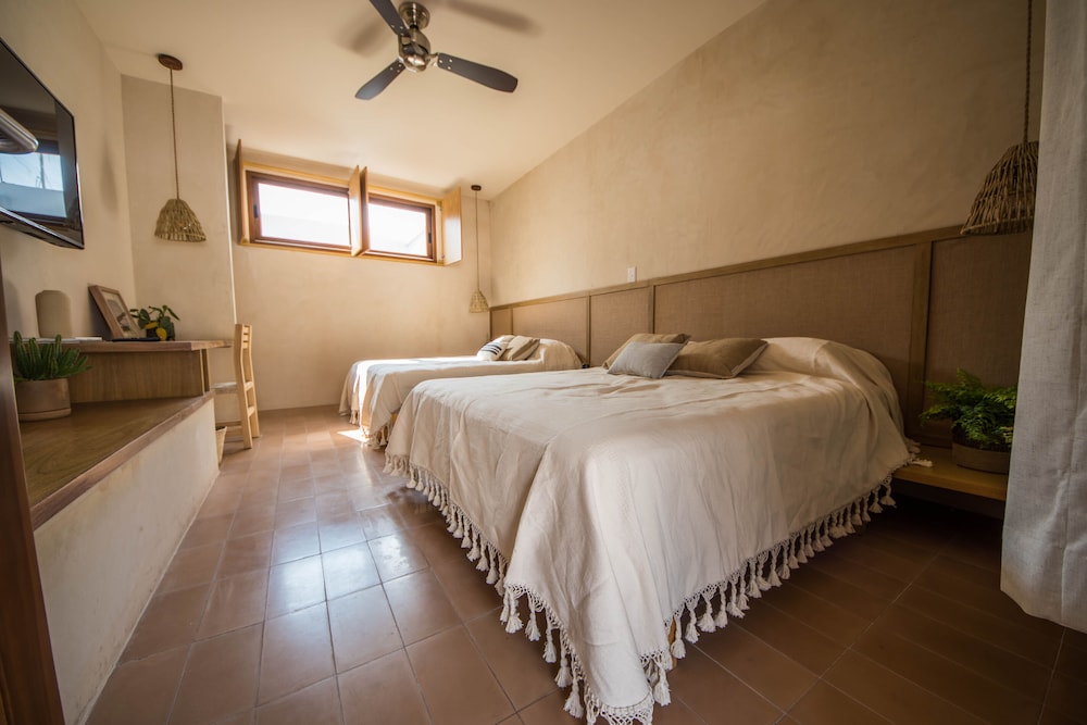 casa montore by barrio mexico