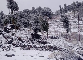 burans breeze a home away from home