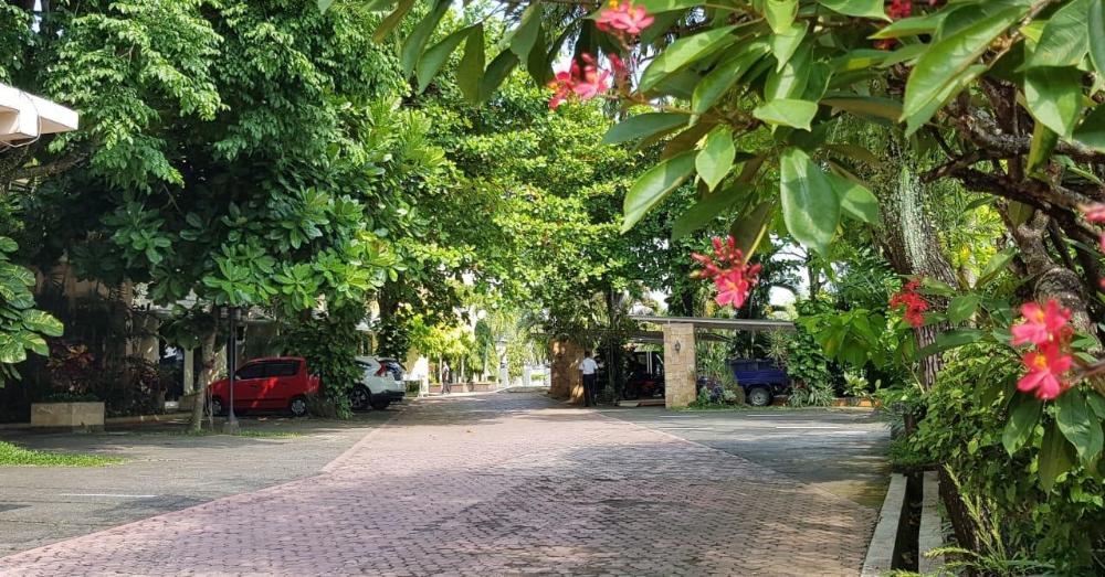 hotel sulawesi jember