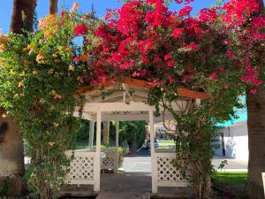 Adara Hotel Palm Springs,Riverside>>Palm Springs,2 star