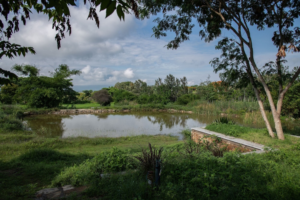 dholes den bandipur