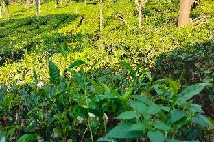 gudalur