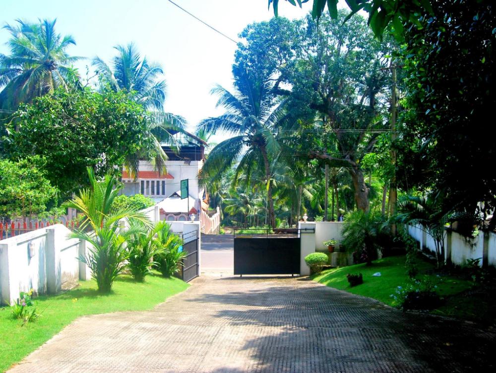 little paradise homestay