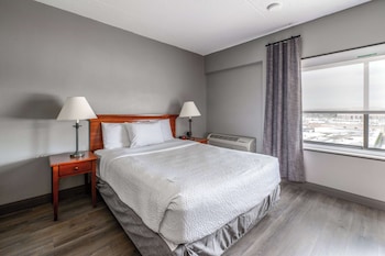 la quinta inn and suites by wyndham new haven