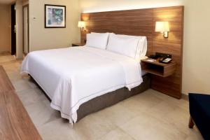 holiday inn express guadalajara aeropuerto by ihg