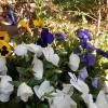 the hideaway bandb retreat