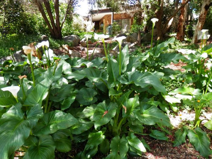 the hideaway bandb retreat
